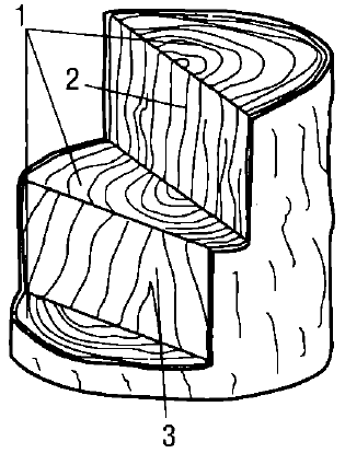 Основные разрезы ствола