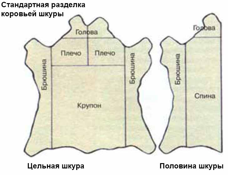 Стандартная разделка коровьей шкуры