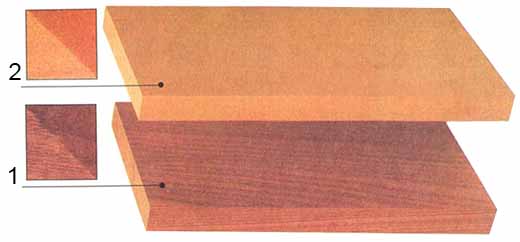 Афрормозия и Ольха красная