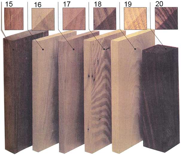 Структура и цвет лиственных пород