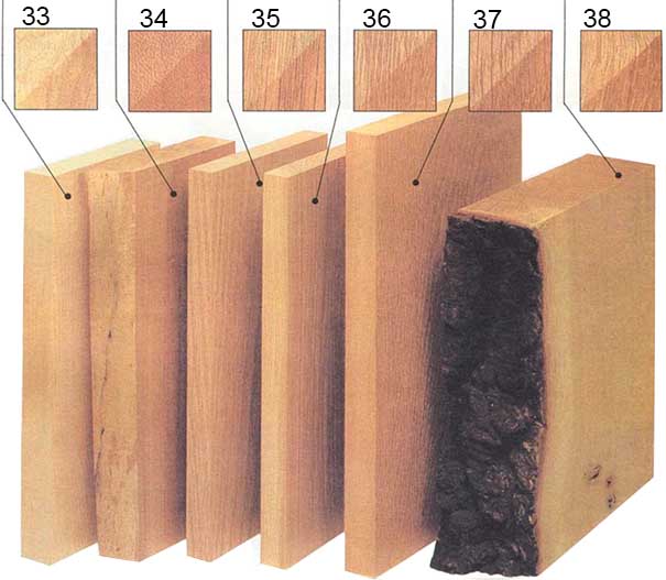 Виды лиственных пород, находящиеся под угрозой исчезновения