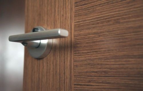 двери из шпона