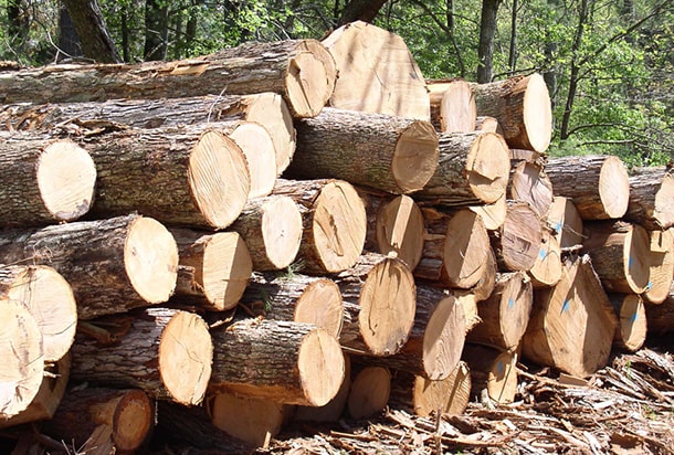 Натуральная древесина