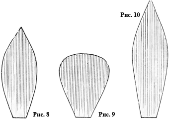 выкройка лепестков