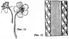цветы и плетение
