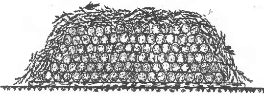 укрытый штабель в поперечном разрезе