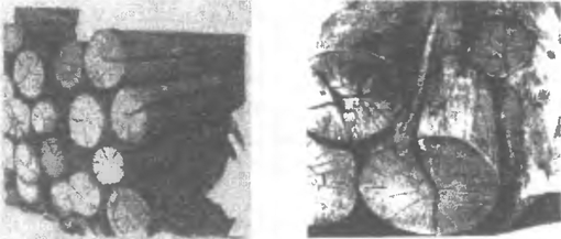 Трещины в круглых лесоматериалах